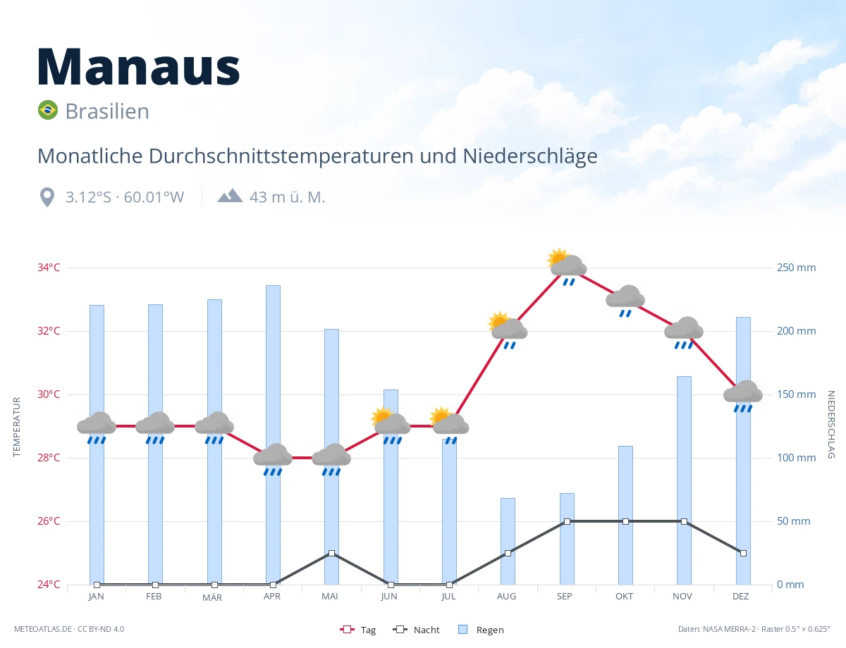 Manaus - monatliche Durchschnittstemperaturen und Niederschläge