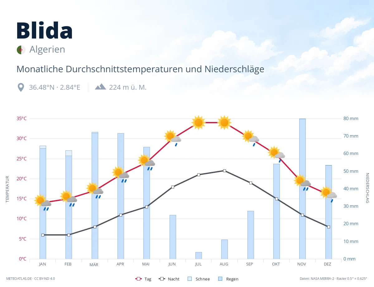 Blida - monatliche Durchschnittstemperaturen und Niederschläge