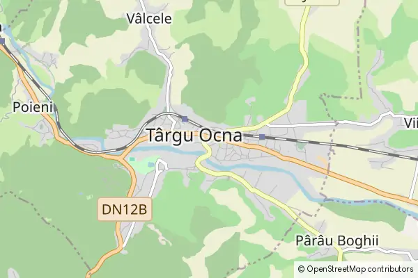 Karte Târgu Ocna