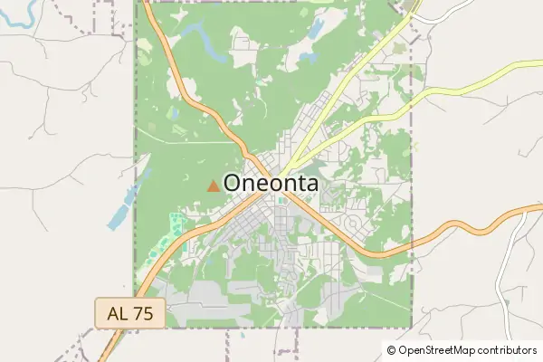 Karte Oneonta